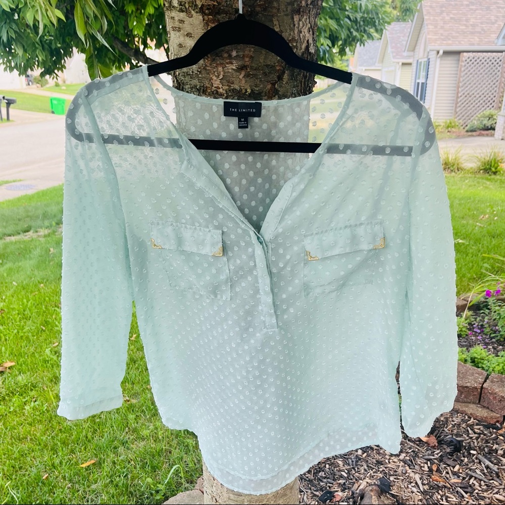 Bright Blue Sheer Swiss Dot Top